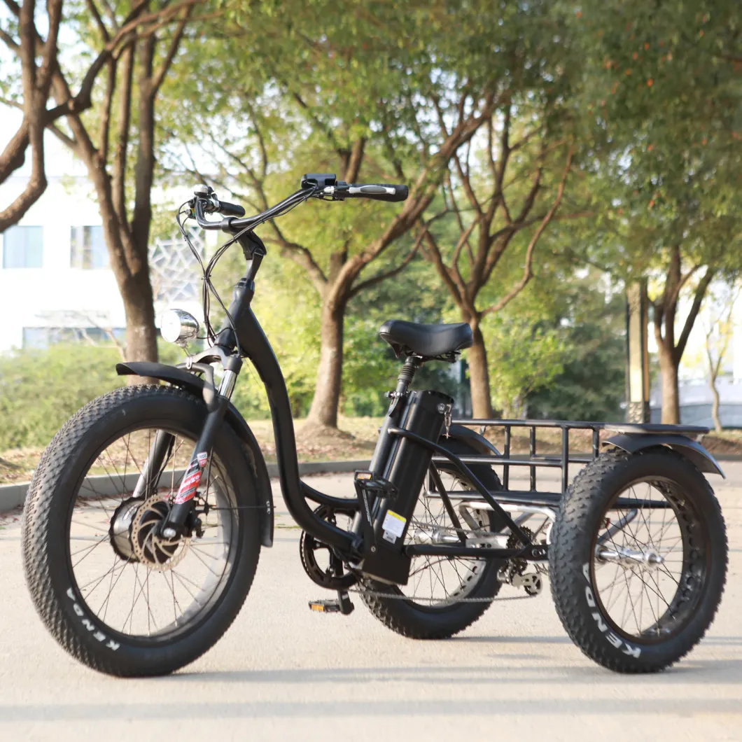 Fat Tire Electric Tricycle for Man/Woman with High Power 48V750W