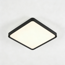 Ceiling-mounted LED light fixture
