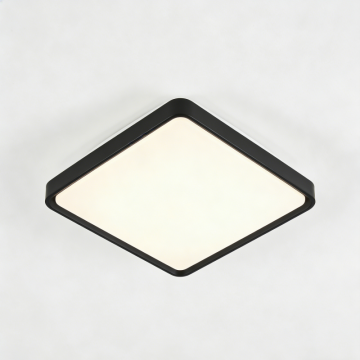 Ceiling-mounted LED light fixture
