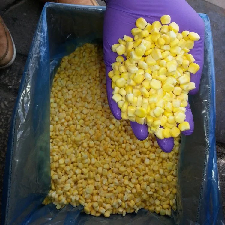 IQF Frozen Vegetables Sweet Corn