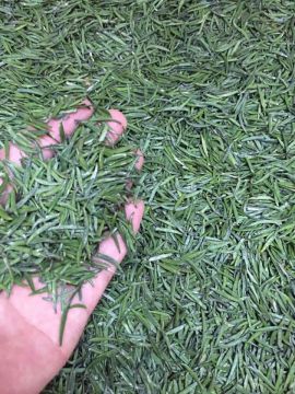 Natural ecological selenium-rich tea