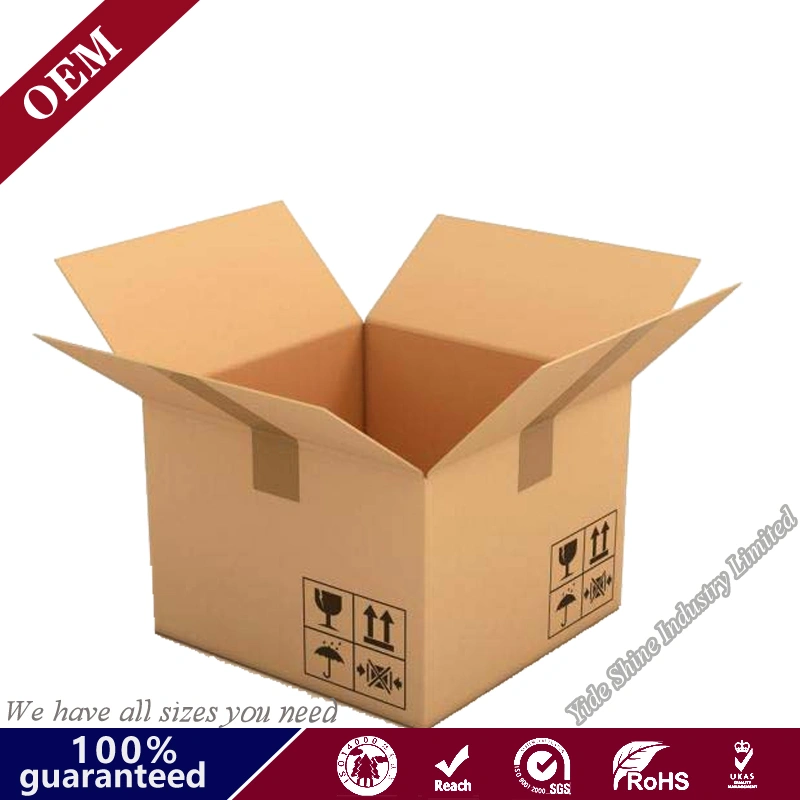 Custom Shipping Express Packaging Corrugated Paper Carton Box