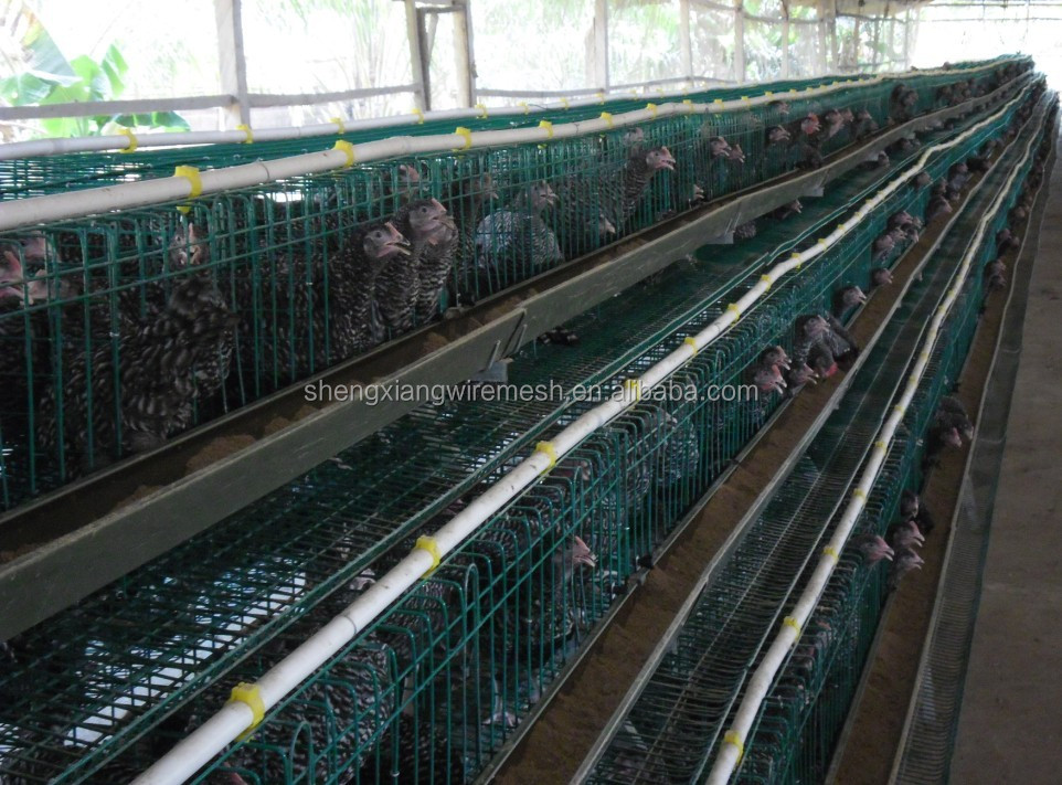 3 Layer sales kenya poultry farm house chicken cage hot galvanized 20 years lifetime  with Auto water system