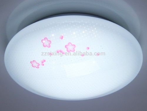 Energy Saving Ceiling Lamps