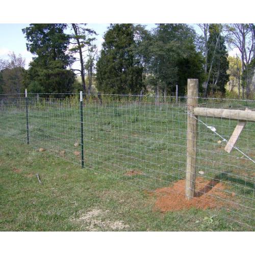 PVC Coated Field Fence Deer Farm Fence