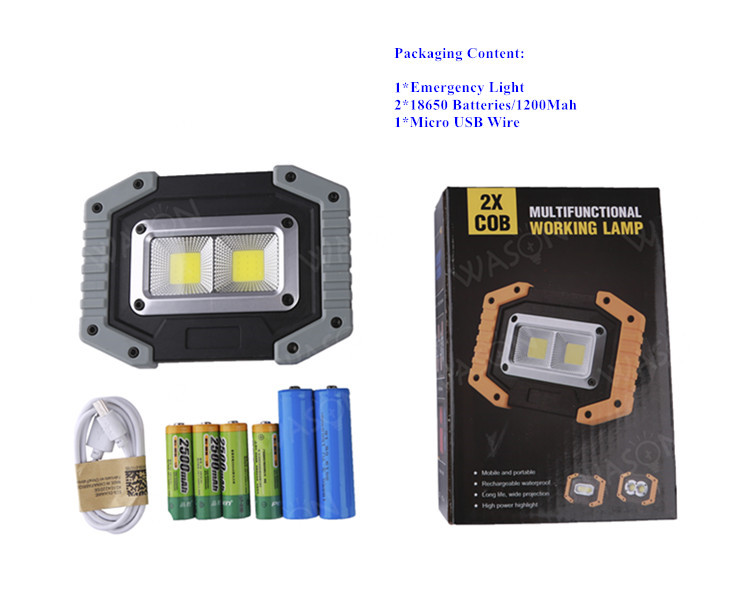 COB Flood Light 