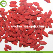 Toptan Beslenme Sağlıklı Düşük Pestisit Goji Berry