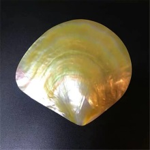 Nautical Home Decor: Seashell Jewelry and Beach Wedding Ocean Themes