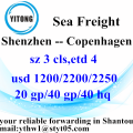 Shenzhen International Express Delivery Services to Copenhagen