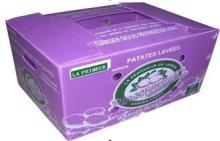 Eco-friendly Corflute Sheet , Corflute Container For Agricu