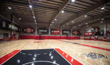 Enlio Professional Indoor Birch Sports Wooden Floor