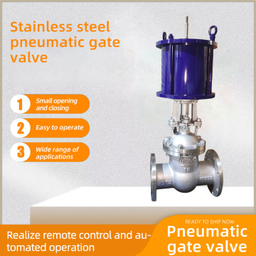 Stainless steel pneumatic gate valve