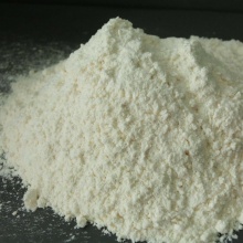 Food Grade Dry Garlic Powder with factory price