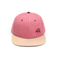 Customer-supplied Fabric Embroidery 6 Panel Snapback Cap