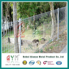 PVC Coated Brc Mesh Fence /Galvanized Fencing Mesh /Rolltop Fence Pool Fence