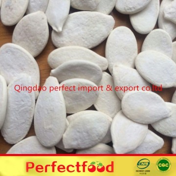 High quality pumpkin seeds salted pumpkin seeds China pumpkin seeds