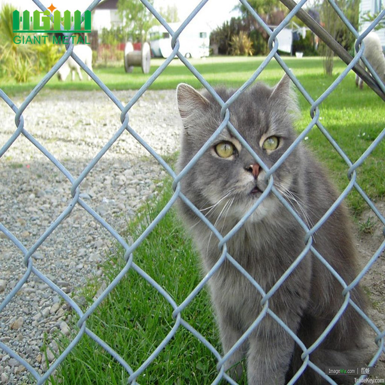 Galvanized 6ft Chain Link Fencing with Barbed Wire