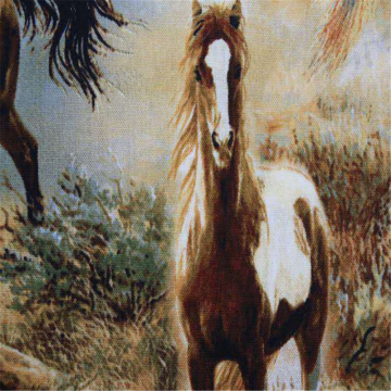 Digital Printing With Cotton Plain Cloth