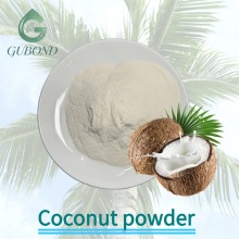 Spray Dried Coconut Powder for Functional Food Use