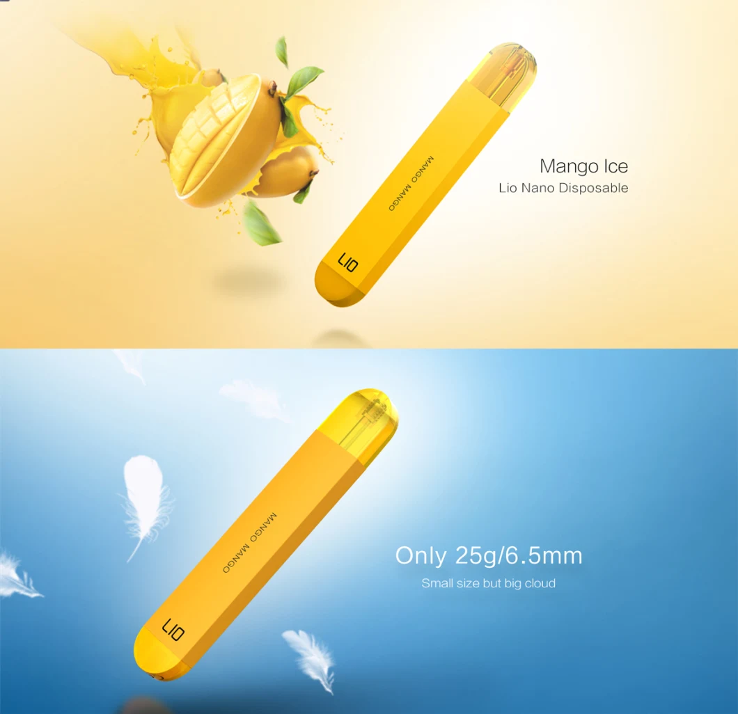 China Wholesale Vape Handle E Cigarette Powerful Disposable Vape Healthier E Liquid Disposable Vaporizer Lio Nano 600 Puff Bar Vape
