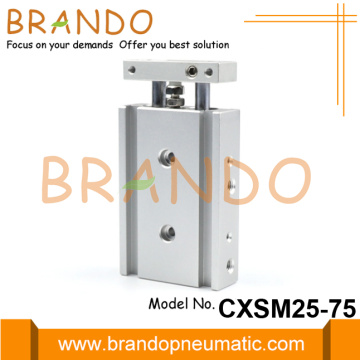 SMC Type CXSM25-75 Dual Rod Pneumatische Luchtcilinder: