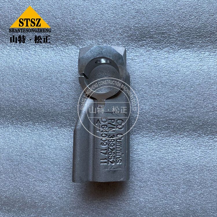 3892652 4 Jpg 3892652 4 Jpg