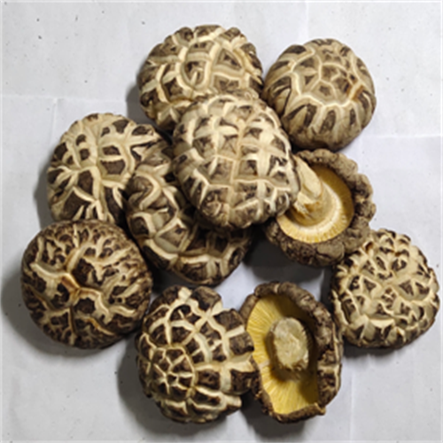 Dried Shiitake Mushrooms B