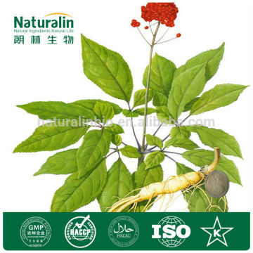 Ginseng Leaf/Root Extract