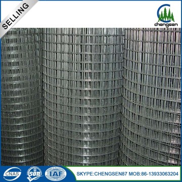 10*10 304  SS welded wire mesh