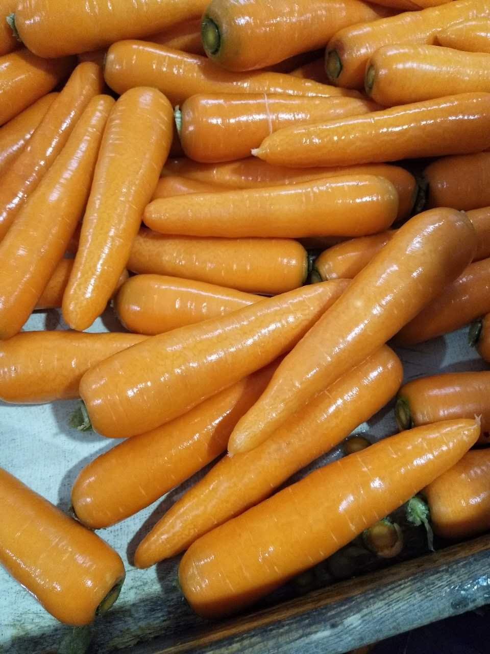 2020 China new season red carrot / fresh vegetables supply