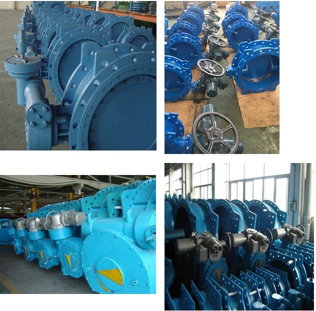 Double Eccentric Metal Seated Butterfly Valve