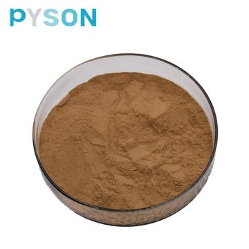 Los polifenoles de equinácea se utilizan como antioxidantes.