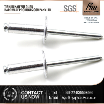 China decorative iron blind rivet aluminum 5050 blind rivet