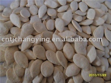 roasted pumpkin seeds