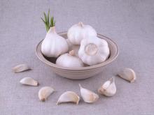 High-quality white garlic in bags