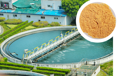 Lvyuan Water Treatment Chemical Price Poly Ferric Sulphate PFS