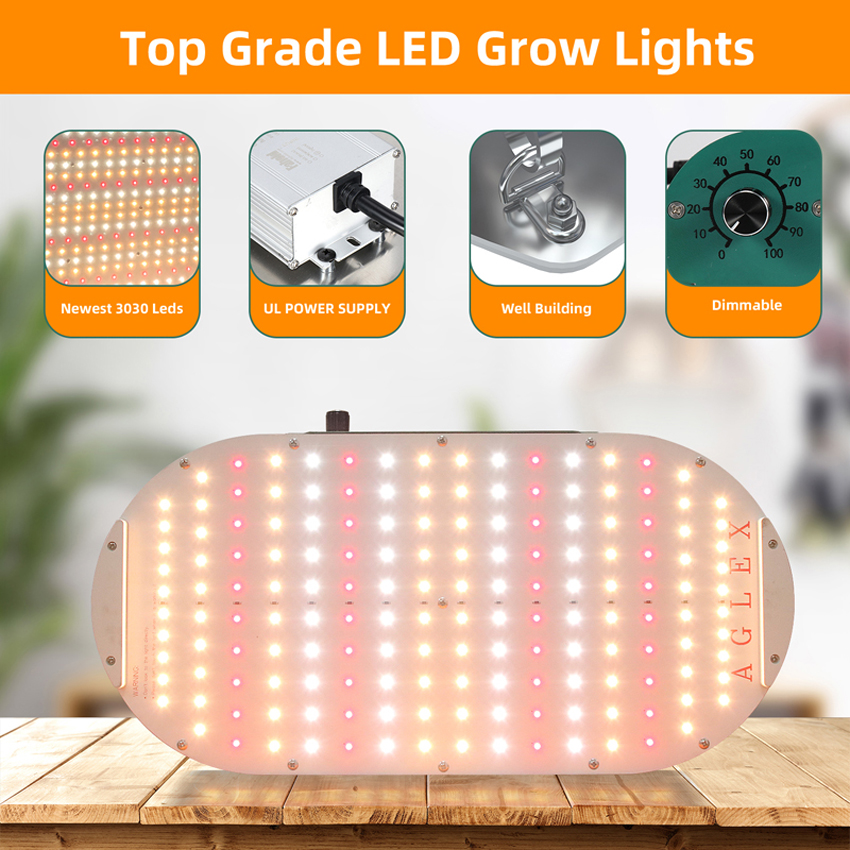100-watowe światło LED do uprawy