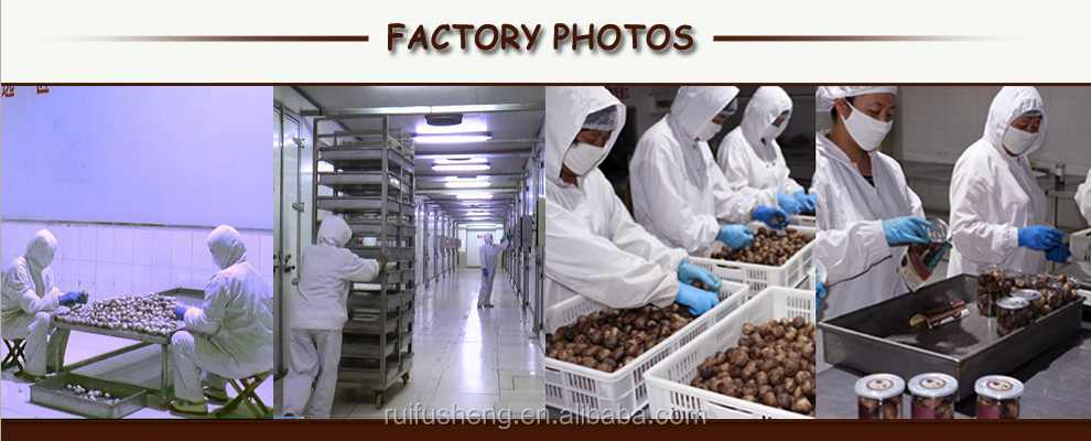 black garlic price for discount Chinese organic peeled black garlic cloves Factory OEM Free sample professional export