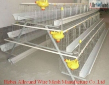 automatic equipment cage for layers