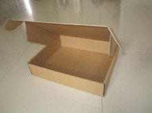 Corrugated Carton Boxes (WX2011-201)
