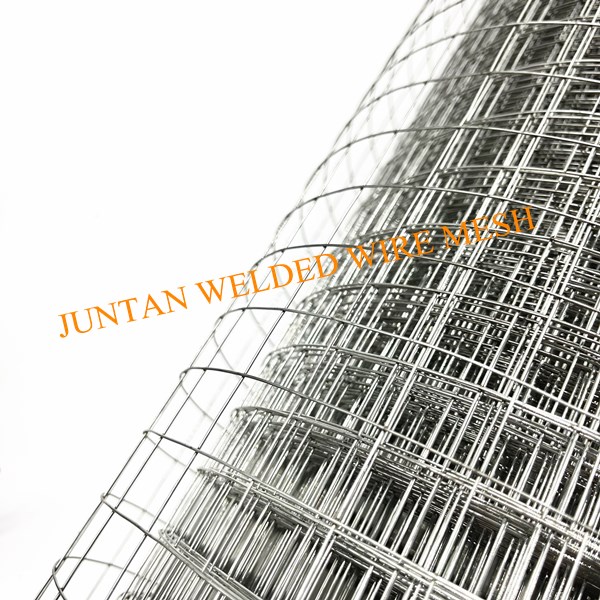 Galvanized Welded Wire Mesh Roll Jpg