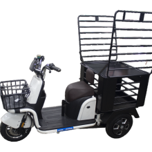 Innovative Multi-Functional Tricycle EVs with Unique Design Patents and 60 km Range