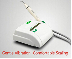 Scaler Handpiece/Dental Ultrasonic Scaler Handpiece