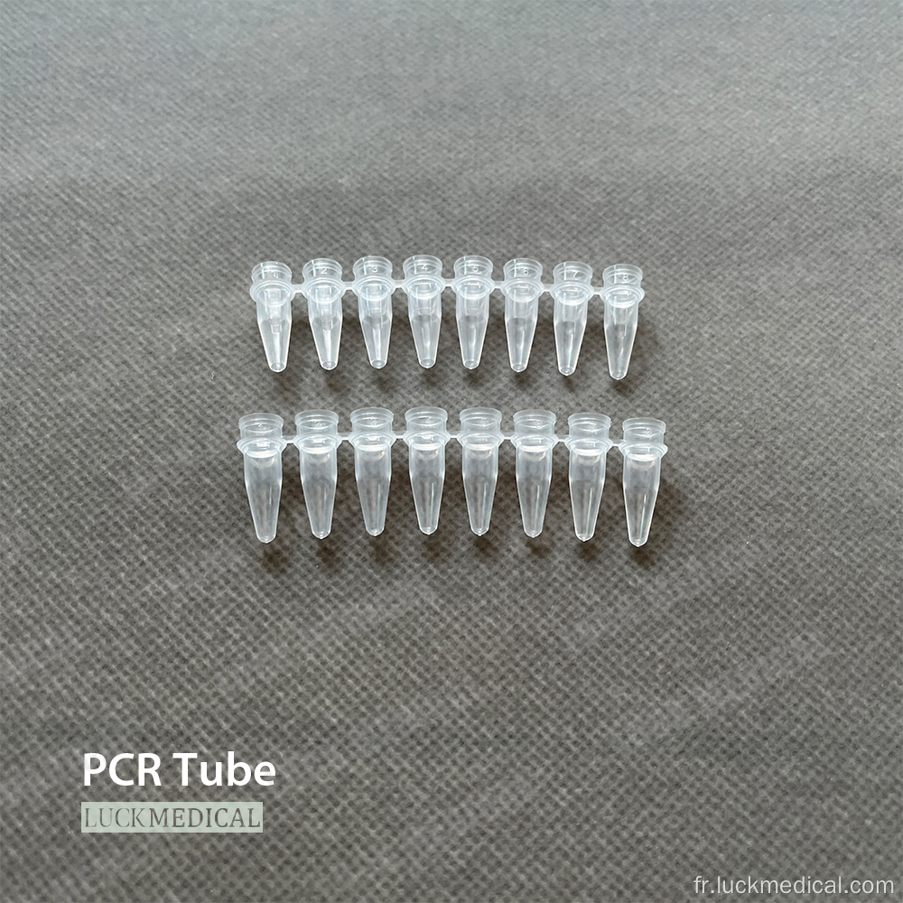 Tubes PCR en plastique avec bouchons