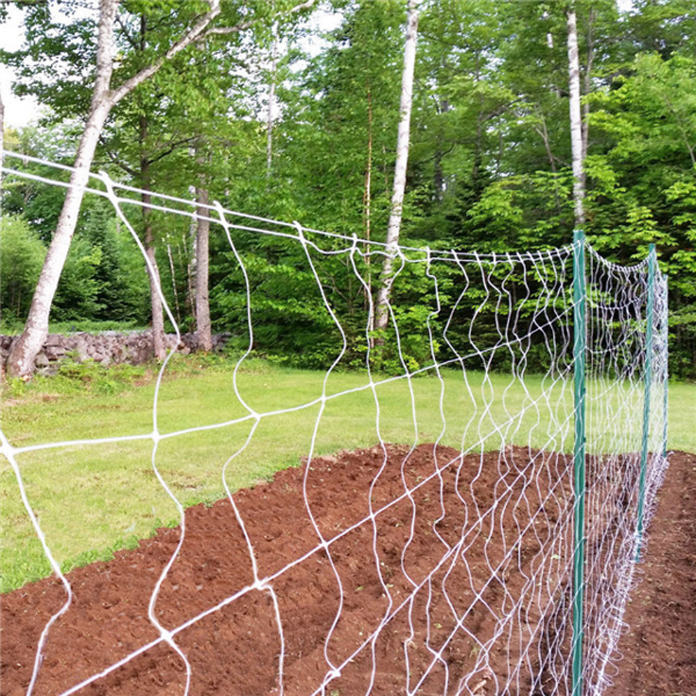 Plastic Square Mesh Trellis Netting