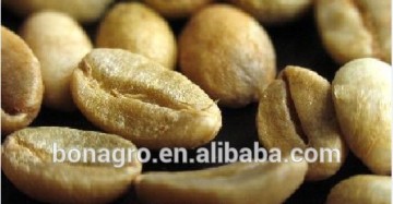 Origin YunNan Arabica Coffee Bean
