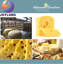 Complete mini fresh mozzarella dairy cheese processing plant