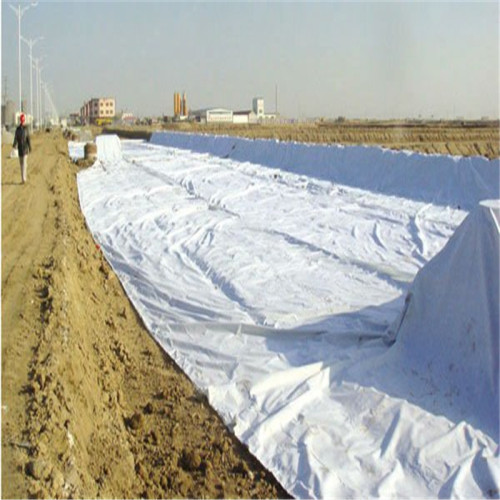 PP/Polyester Geotextile Fabric for Road Construction