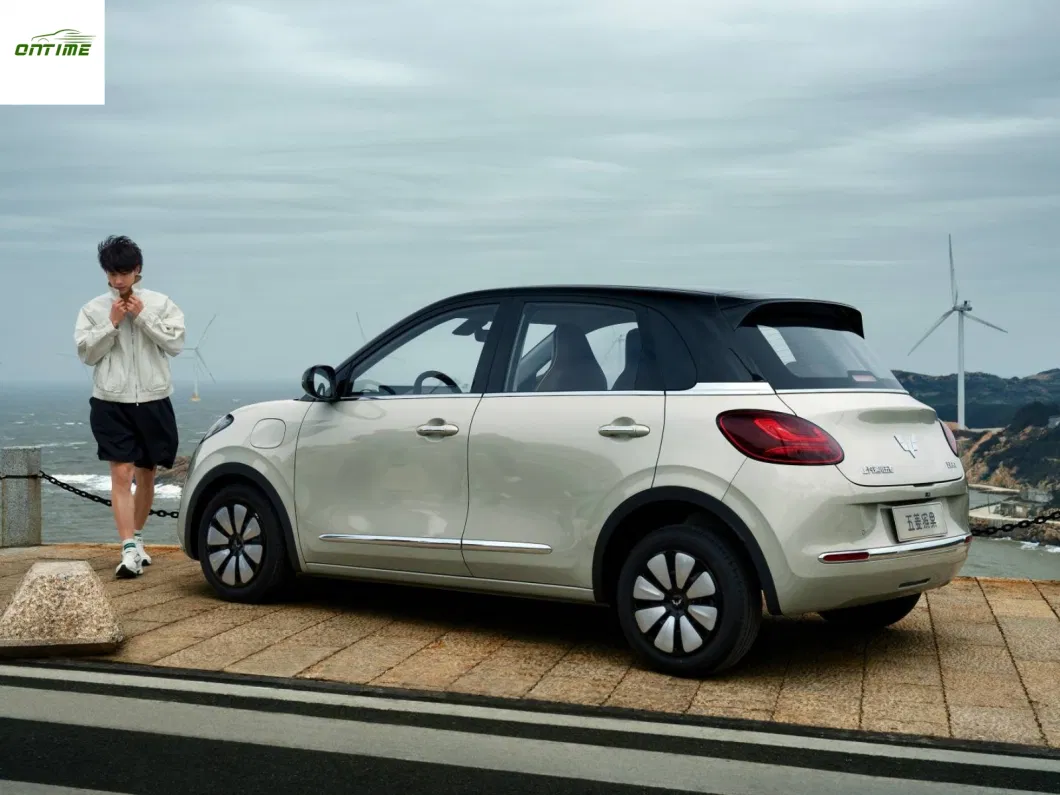 The New Energy Four-Wheel Electric Vehicle Series Has a Range of 333km and The Bingo Electric Vehicle Is Equipped with High-Quality and Durable Batteries