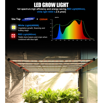 650 vatios LED Cultive la luz para la planta interior